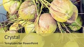  Presentation with market food - PPT theme consisting of cooking asian kitchen and food concept - water coconuts bunch at asian street market background and a yellow colored foreground