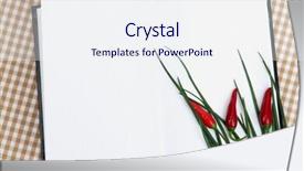  Presentation with cookbook - Slide set with cooking concept groceries with empty cookbook close up background and a sky blue colored foreground