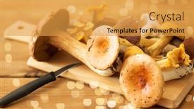  Presentation with culinary - Audience pleasing theme consisting of cooking-culinary-and-edible-mushrooms backdrop and a gold colored foreground