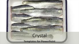  Presentation with enamel - Colorful presentation enhanced with cooking process of pickled herring backdrop and a light gray colored foreground