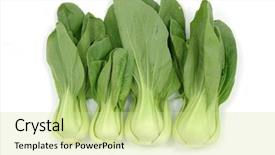 Presentation with cooking - Beautiful presentation theme featuring cooking wok - bok choy in isolated white backdrop and a soft green colored foreground