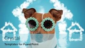  Presentation with adoption - Presentation theme consisting of cool-jack-russell-terrier-puppy background and a arctic colored foreground