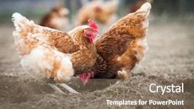  Presentation with hen - Cool new PPT layouts with concept of green plant grow on us dollar currency note backdrop and a white colored foreground