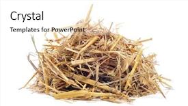  Presentation with straw - Slide deck enhanced with mangers - pile of straw background and a white colored foreground