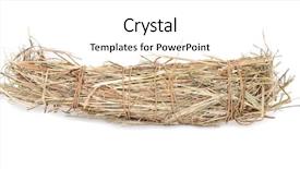  Presentation with hay field - Audience pleasing PPT theme consisting of coop ration - hay backdrop and a white colored foreground