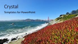  Presentation with san francisco chinatown - Slide set with cooper s ice plant background and a light blue colored foreground