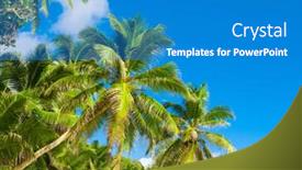  Presentation with jungle - Cool new theme with copse-of-trees-wilds-jungle backdrop and a teal colored foreground