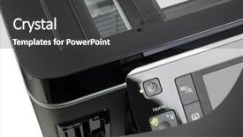  Presentation with aus law photo - Amazing PPT layouts having two tibetan mastiff stands on a dirt road on a sunny day backdrop and a violet colored foreground.