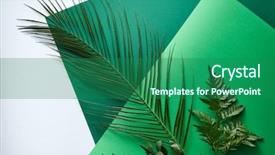  Presentation with leaf water drops fresh - Beautiful PPT theme featuring copy space natural layout flat backdrop and a ocean colored foreground