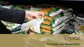  Presentation with walmart - 