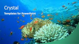  Presentation with blue water - Cool new presentation theme with coral-and-fish-in-blue backdrop and a teal colored foreground