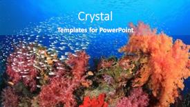  Presentation with fish ocean - Presentation design with coral and fish in ocean background and a teal colored foreground