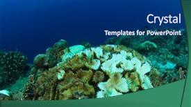  Presentation with climate change - Presentation design having climate change rising sea temperature background and a dark gray colored foreground