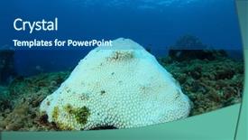  Presentation with coral reef - Presentation featuring climate change rising sea temperature background and a dark gray colored foreground