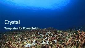  Presentation with coral reef - Colorful slides enhanced with global warming pollution and overfishing backdrop and a ocean colored foreground
