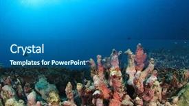  Presentation with environmental - Colorful slides enhanced with coral bleaching environmental problem backdrop and a ocean colored foreground