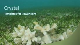  Presentation with climate - Audience pleasing presentation design consisting of global warming and climate change backdrop and a ocean colored foreground