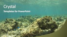  Presentation with environmental pollution - Colorful PPT layouts enhanced with coral environmental damage from overfishing backdrop and a seafoam green colored foreground