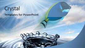  Presentation with coral - PPT layouts having coral fish acanthurus leucosternon leaping background and a  colored foreground
