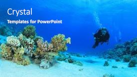  Presentation with divers - Cool new slides with coral-fish-and-scuba-divers backdrop and a gray colored foreground