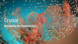  Presentation with sea coral - Beautiful PPT layouts featuring bommie - coral fish and sea backdrop and a teal colored foreground