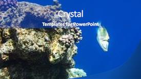  Presentation with sea coral - Slide deck enhanced with coral-fish-in-red-sea background and a cobalt blue colored foreground