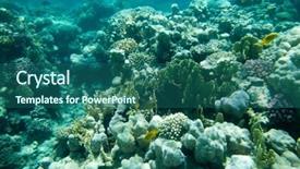  Presentation with fishes - Presentation theme featuring coral garden full of colorful fishes background and a ocean colored foreground