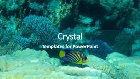  Presentation with fishes - Beautiful PPT layouts featuring coral garden full of colorful fishes backdrop and a ocean colored foreground