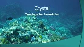  Presentation with fishes - Amazing presentation having coral garden full of colorful fishes backdrop and a ocean colored foreground