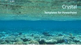  Presentation with fishes - Cool new presentation theme with coral garden full of colorful fishes backdrop and a ocean colored foreground