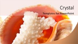  Presentation with seashell - Amazing PPT layouts having coral in seashell isolated on white backdrop and a coral colored foreground