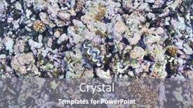  Presentation with coral reef - Cool new slides with coral-reef-and-clam backdrop and a gray colored foreground