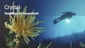  Presentation with coral reef - PPT layouts enhanced with coral reef and feather star background and a ocean colored foreground