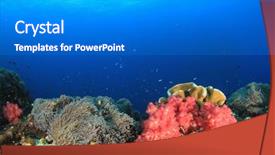  Presentation with coral reef - Beautiful theme featuring coral reef and fish underwater backdrop and a gray colored foreground