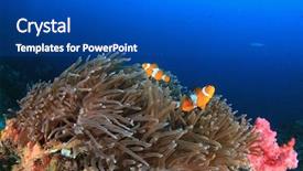  Presentation with reef octopus underwater - PPT layouts with coral reef and fish underwater background and a ocean colored foreground