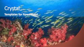  Presentation with tuna fish underwater in ocean - Slide deck enhanced with coral reef and fish underwater background and a teal colored foreground