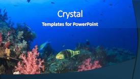  Presentation with fish ocean - Theme having coral reef and fish underwater background and a gray colored foreground