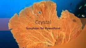  Presentation with fish ocean - Colorful PPT theme enhanced with coral reef and fish underwater in ocean backdrop and a gold colored foreground