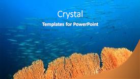  Presentation with fish ocean - Slide set consisting of coral reef and fish underwater in ocean background and a gray colored foreground