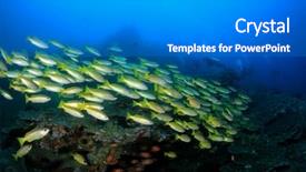  Presentation with coral reef - Beautiful presentation featuring coral reef and scuba diver backdrop and a gray colored foreground