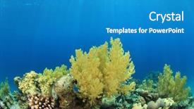  Presentation with sea coral - Slide deck featuring coral reef in red sea background and a teal colored foreground