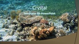  Presentation with sea coral - Audience pleasing theme consisting of coral reef in red sea - tiran island backdrop and a ocean colored foreground