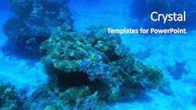  Presentation with sea coral - PPT layouts featuring coral reef in red sea - tiran island - egypt background and a cobalt blue colored foreground