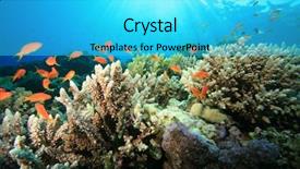  Presentation with coral - Presentation theme with coral reef in sunlight background and a cyan colored foreground
