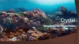  Presentation with coral reef - PPT theme having coral reef in tropical sea background and a ocean colored foreground