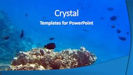  Presentation with fishes - Colorful slide deck enhanced with coral reef of red sea with tropical fishes egypt backdrop and a gray colored foreground
