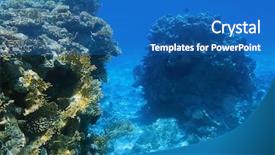  Presentation with sea coral - Audience pleasing presentation theme consisting of coral reef of red sea backdrop and a teal colored foreground