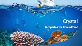  Presentation with tropical reef fish - Amazing presentation having coral reef on red sea backdrop and a teal colored foreground