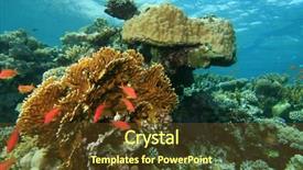  Presentation with sea coral - PPT layouts with coral reef scene in the red sea egypt background and a tawny brown colored foreground
