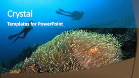  Presentation with scuba diving - Slides enhanced with coral reef with anemone background and a teal colored foreground